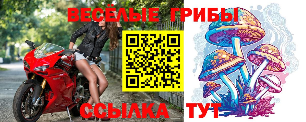 Галлюциногенные грибы мухоморы  Вход с VPN  Галлюциногенные грибы прущие грибы  Владикавказ 